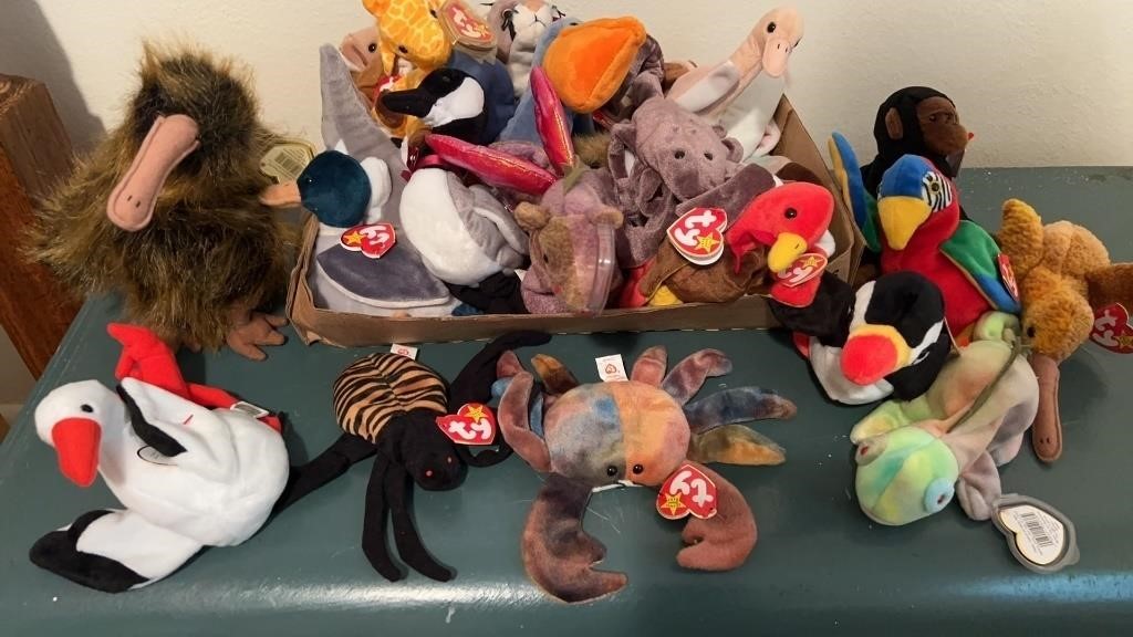 (25) BEANIE BABIES