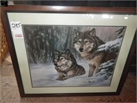 39" x 34" Wolf Picture