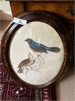 Oval Framed Bird Print