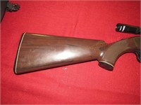 Remington Nylon 66 - 22 Cal. w/Scope