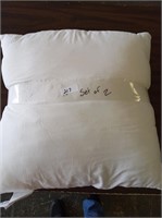 (2) Throw Pillows