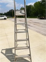 9' Aluminum Ladder