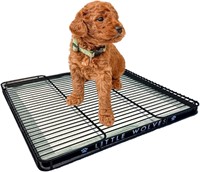 Puppy Potty Tray: 22x22 Reusable Tray