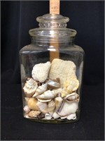 Glass Cannister Jar with Shells