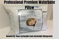 Professional Premium Waterbase Pillow ($75 value)