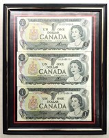 3 Canadian $1 Bank Note in Picture Frame