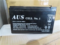 30 Aus Cell No1 Rechargable Batteries CJ12-7