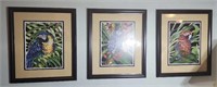 Set of 3 parrot prints approx size is 23 x 27