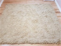 LARGE SHAG ACCENT RUG