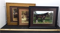 (3) Framed Horse Photos