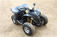 2010 Can-Am DS90 ATV