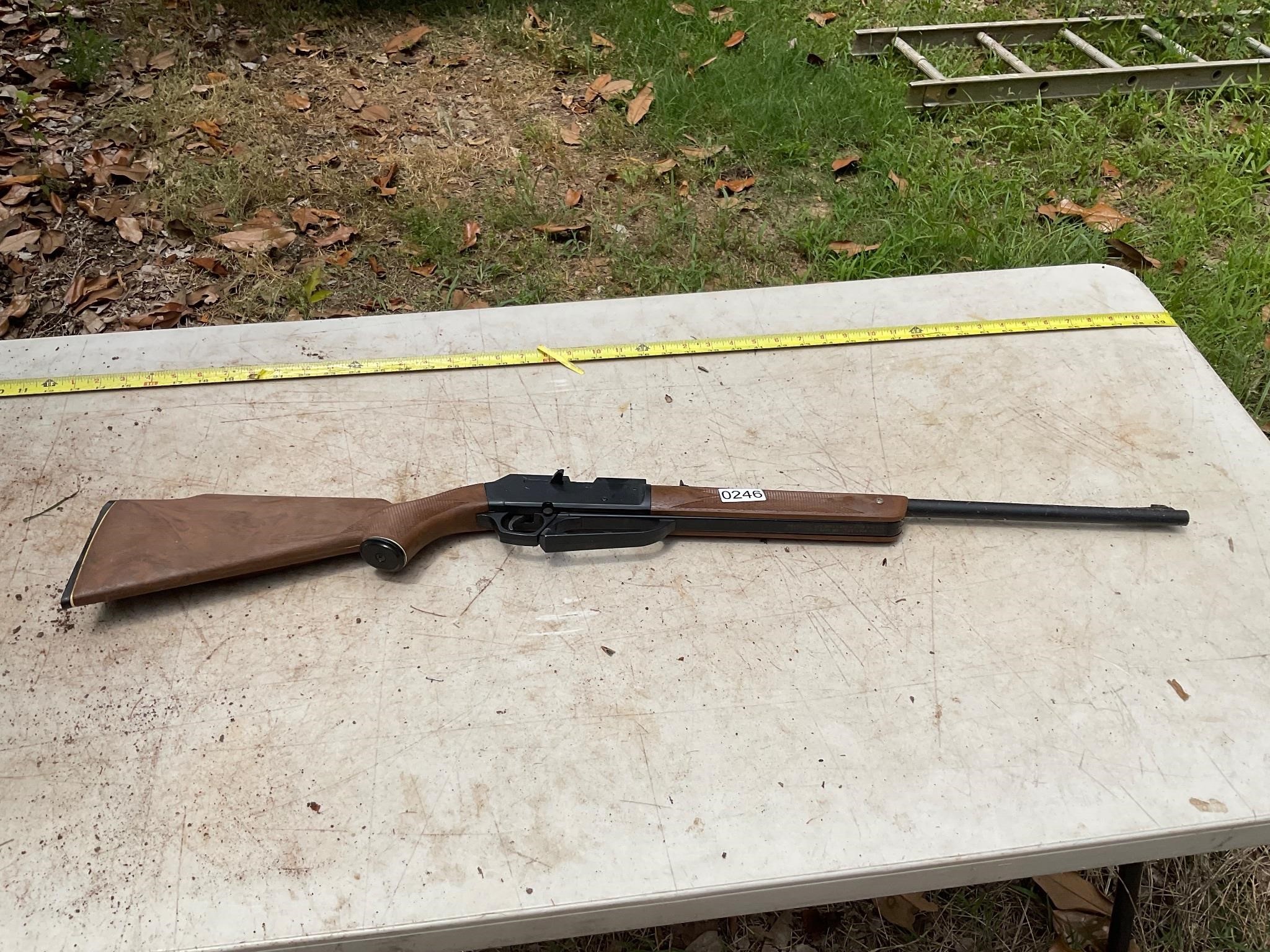 Dailey Model 880 pellet and BB gun