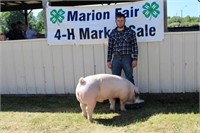 Market Swine- Wyatt Sikkema