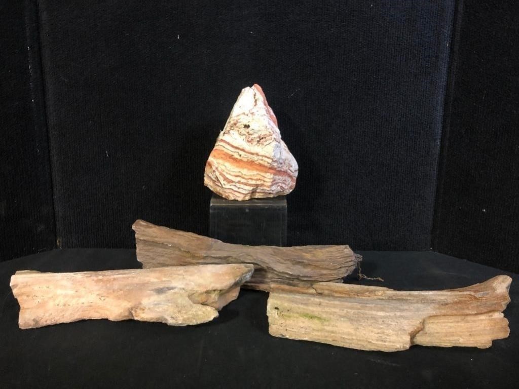 Petrified Wood & Rock
