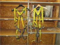 2) safety harnesses, 2 ton come along