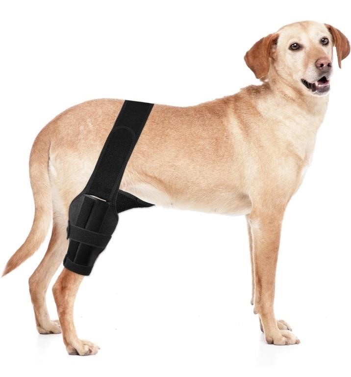 Dog Knee Brace in size large - slightly used