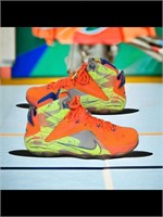 Nike Lebrons 12 meridians  size 9