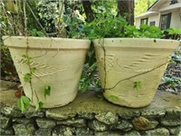 Pair of large terracotta plant pots