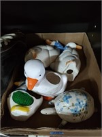 Duck, Geese and Turtle China