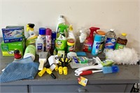 Assortment of cleaning supplies.