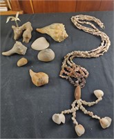 Seashells. Driftwood, seashell hanging plant