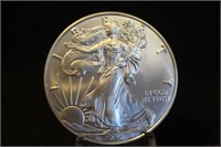 2020 1oz .999 Pure Silver Eagle Coin