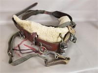 Horse Leather Girth