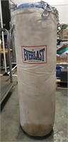 Everlast Punching Bag