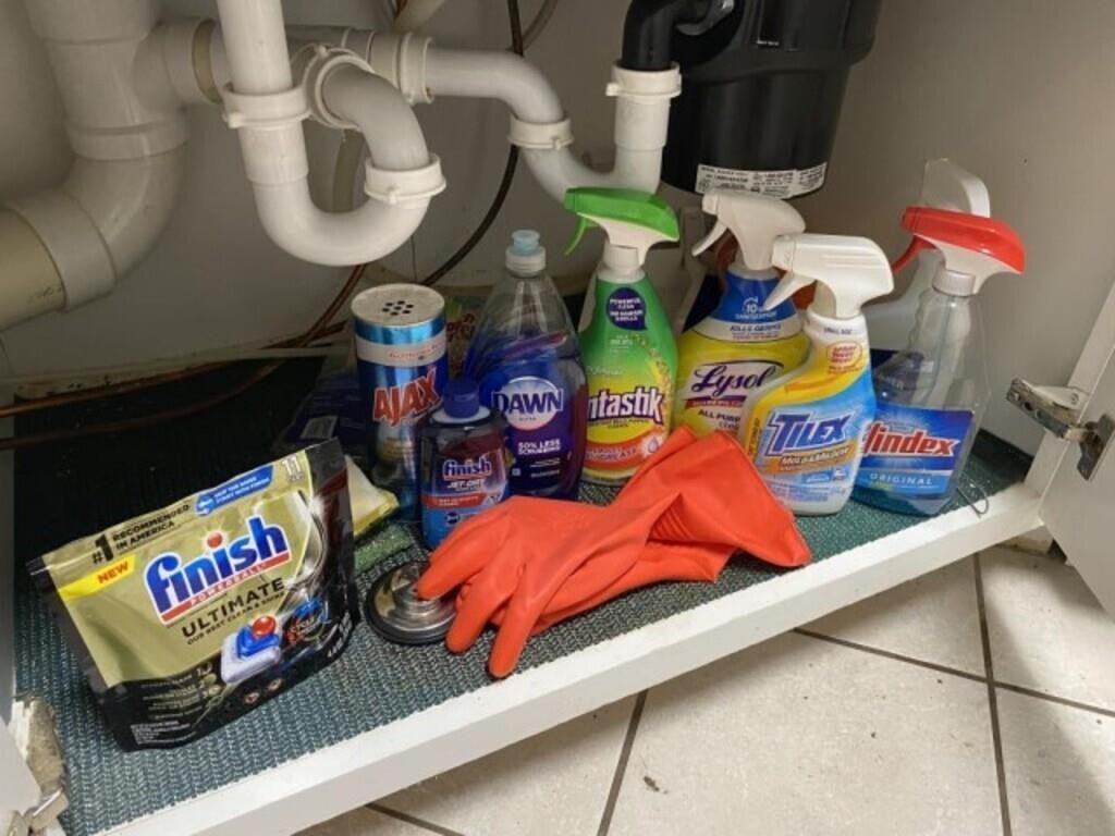 Cleaning products under kitchen sink