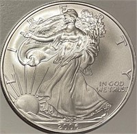US 2006 Silver Eagle