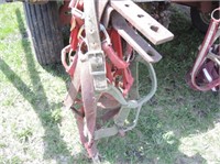 Horse Halters, Large