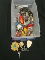 Group of padlocks and keys and keychains