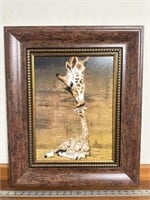 Giraffe picture 20“ x 24“