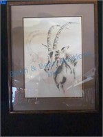Clive Walker sable antelope framed signed