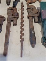 Early Drill Bit