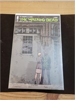 The Walking Dead Comic Lot