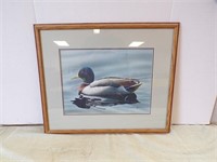 FRAMED, MATTED & SIGNED PRINT OF DUCK....