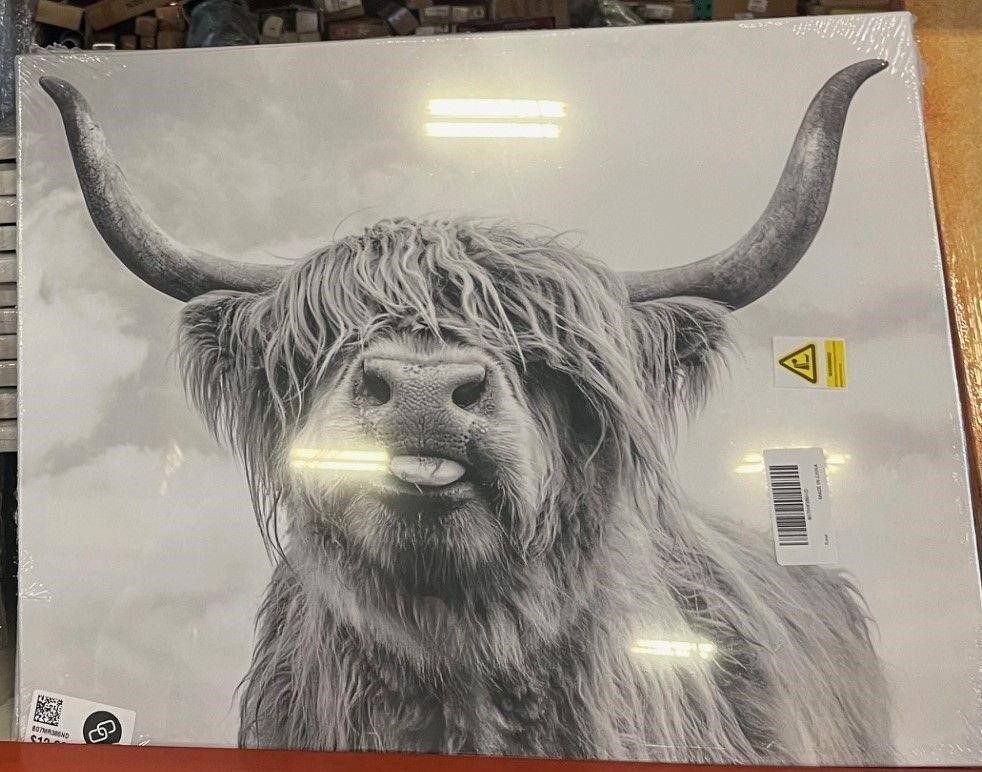 Highland Cow Canvas Wall Art