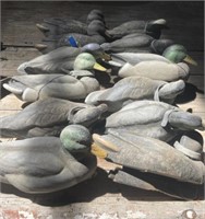 12 - Plastic Duck Decoys