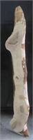 Kiln dry Spotted Gum slab dressed 2320x275-315x45