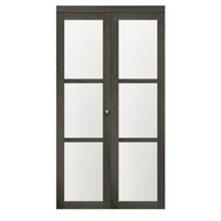 30 in. X 80 1/2 in. Euro 3-Lite Bi-Fold Door Iron