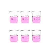 Labvida 6pcs 200ml Upgrated Thick Glass Beakers, G