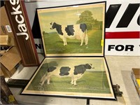 2-1923 The Holstein Friesian Association