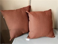 2 Throw Pillows