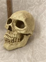 Resin Human Skull Bank