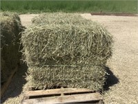 10 Square Bales of 2nd Crop Timothy/Orchard Grass