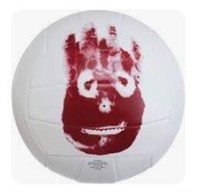 Wilson Cast Away Volleyball, White, Official