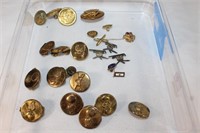 Lot of US Army Pins/ Buttons - Miliatry