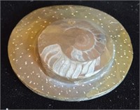 Petrified Stone Ammonite Fossil