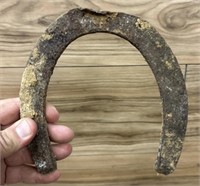 Lucky horseshoe